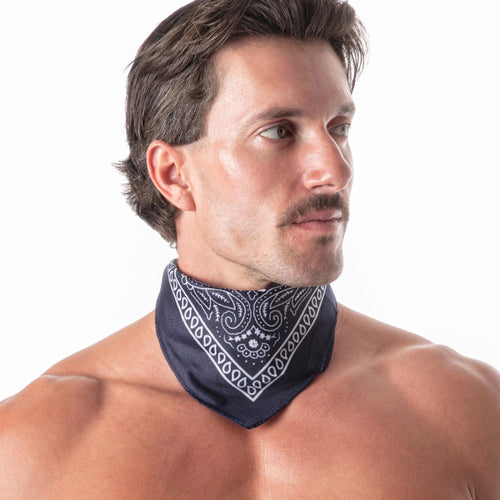 Hanky Navy